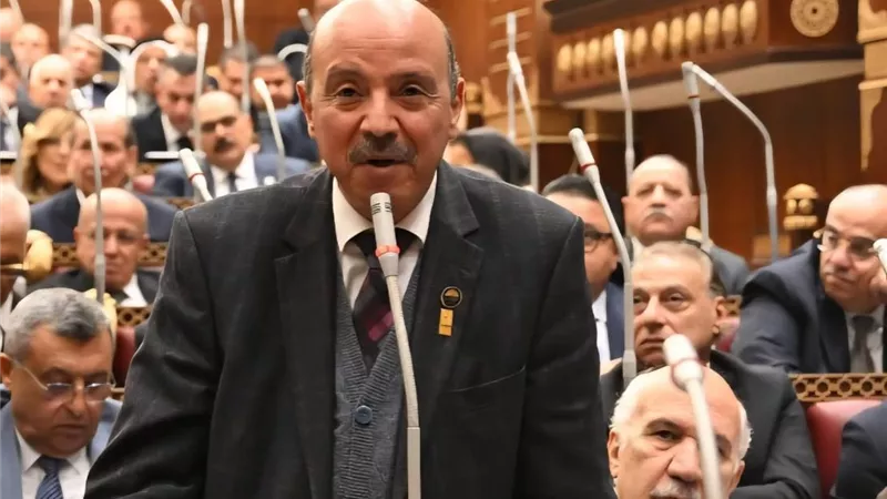 عضو مجلس الشيوخ يرفض مشروع قانون الكهرباء: قد يطول البسطاء