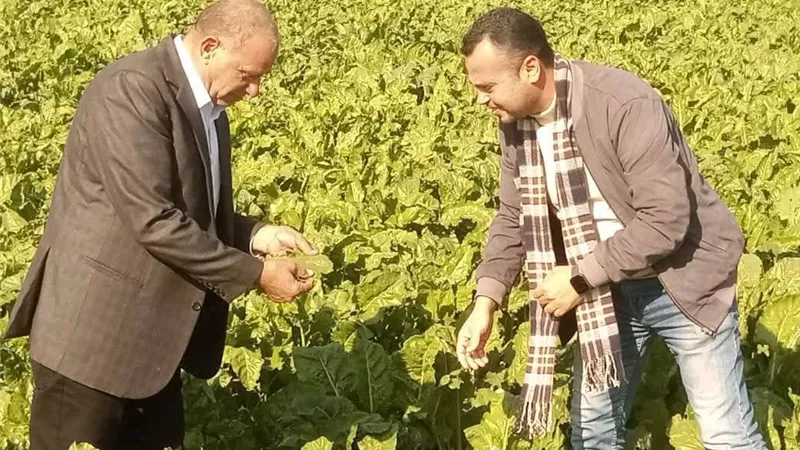 ندوة إرشادية للنهوض بمحصول بنجر السكر في السلاهيب بمركز الحامول بكفرالشيخ