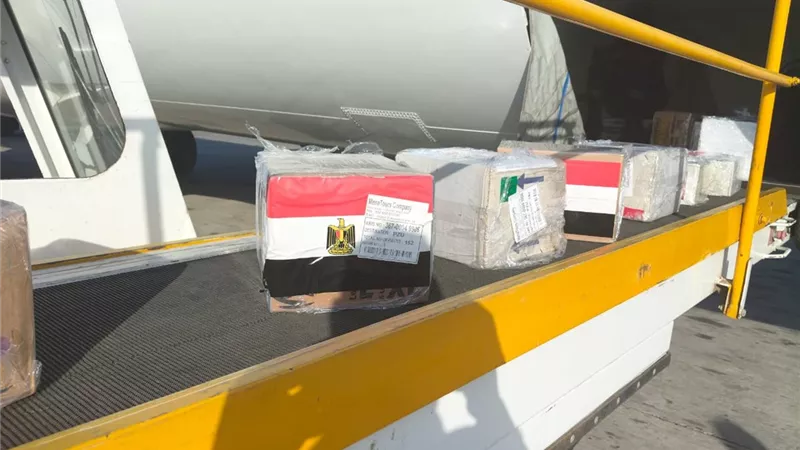 لدعم الأشقاء بالسودان.. مصر ترسل قافلة طبية ومستلزمات علاجية وأدوية