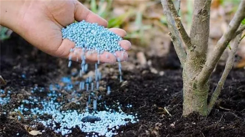 سوق الأسمدة على صفيح ساخن.. زيادات طفيفة وانخفاضات متفاوتة