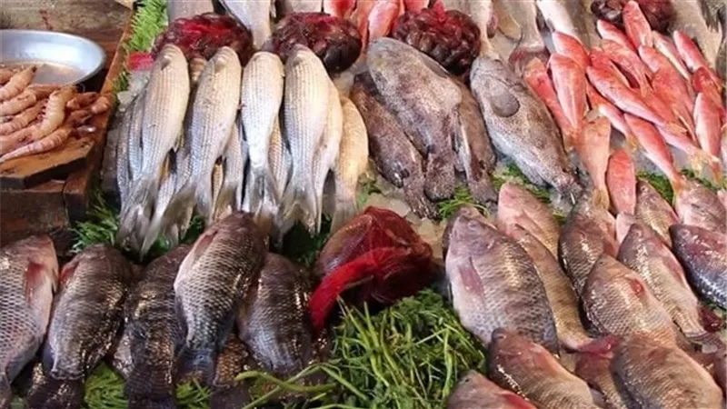 البلطي بكام النهاردة؟.. انخفاض الجمبري والماكريل وارتفاع محدود للسبيط
