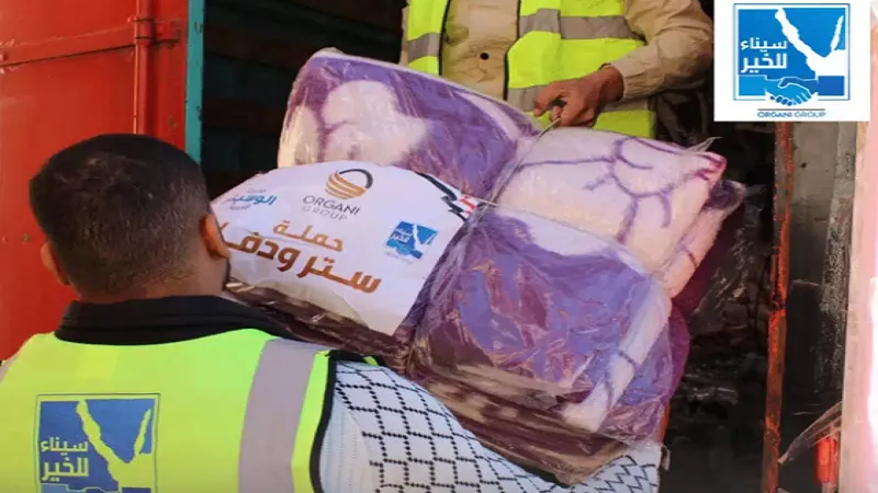 سيناء للخير: تحويل الأسر الأولى بالرعاية من العوز إلى الإنتاج|فيديو