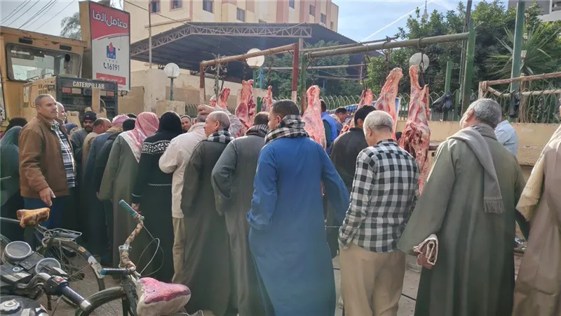 إقبال كبير على منافذ بيع اللحوم البلدية بسعر 290 جنيهًا للكيلو بأسيوط 