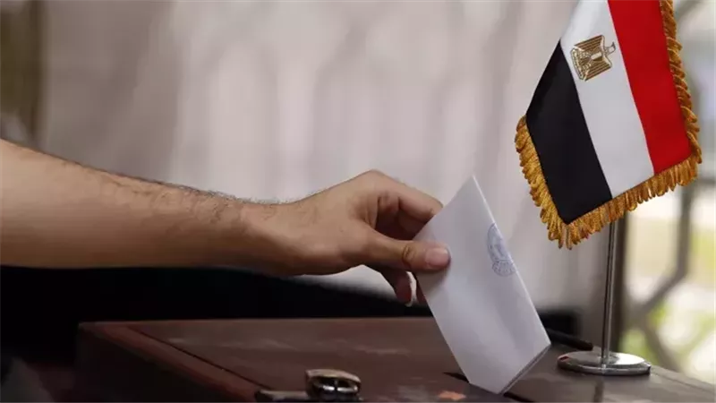 المصريون بالخارج يواصلون الإدلاء بأصواتهم في انتخابات النواب|فيديو