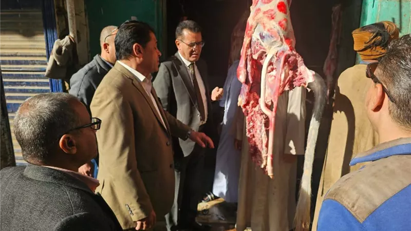ضبط لحوم مذبوحة خارج المجازر الحكومية في حملة مكبرة للطب البيطرى بالأقصر