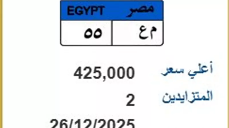 التنافس يشتعل.. 425 ألف جنيه ثمن لوحة معدنية مميزة في المرور| تفاصيل
