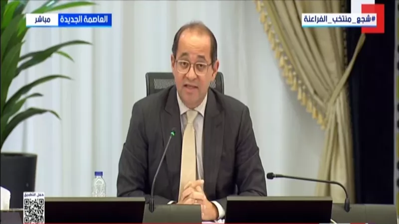 وزير المالية: زيارة وفد صندوق النقد الدولي لمصر كانت ناجحة|فيديو