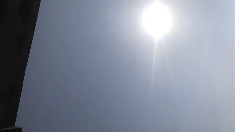 طقس محافظة الشرقية اليوم الخميس.. مشمس وهادئ بدون رياح  