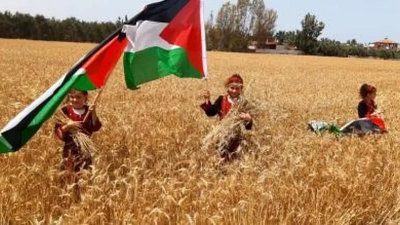 فلسطين 2025.. شعب لا يقهر وصمود يتحدى الجوع والقتل والبرد والعواصف