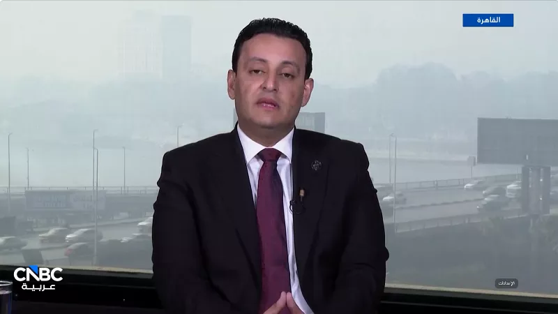 عضو بالشيوخ: تراجع الدولار وانخفاض التضخم أبرز مكاسب 2025| فيديو