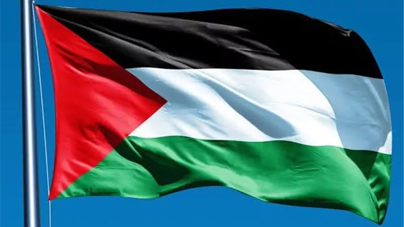 المنظمة العربية لحقوق الإنسان تدين اعتداءات إسرائيل على المسيحيين