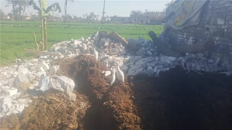 رفع 22 طن مخلفات من شوارع مدينة ناصر ببني سويف  