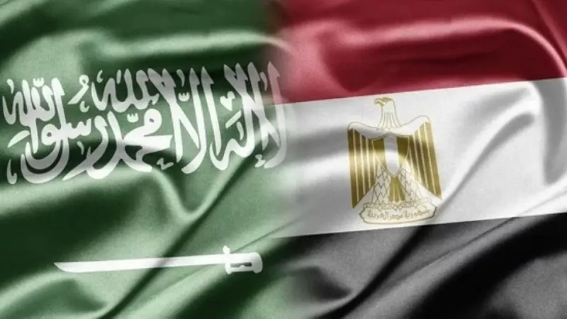 باسل السيسي: تنسيق مصري سعودي لتطوير خدمات الحج والعمرة|فيديو