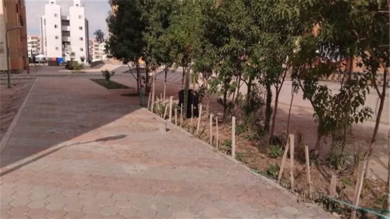 جهاز تنمية العبور الجديدة ينفذ خطة لتحسين الخدمات والمظهر الحضاري