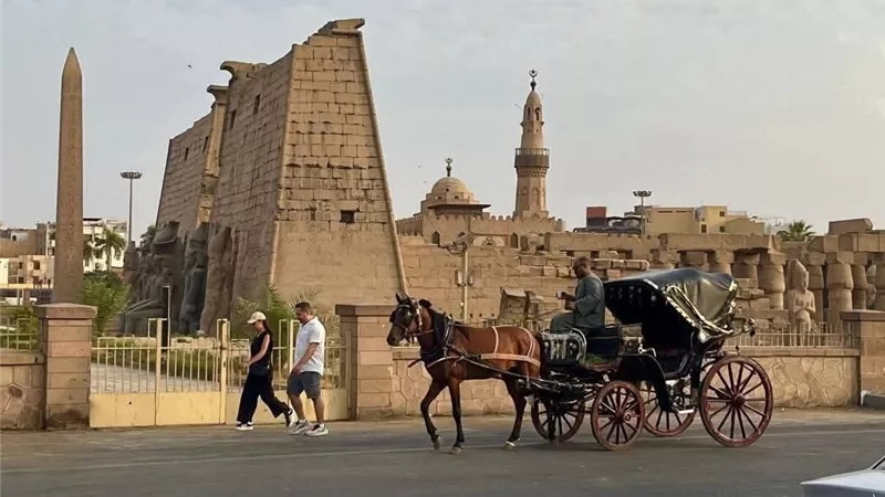 طقس اليوم في الأقصر.. مائل للدفء نهارا شديدا البرودة ليلا 