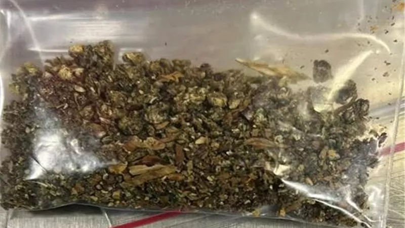 جمارك مطار الغردقة تضبط راكبا بريطانيا بحوزته «ماريجوانا» قادما من النمسا