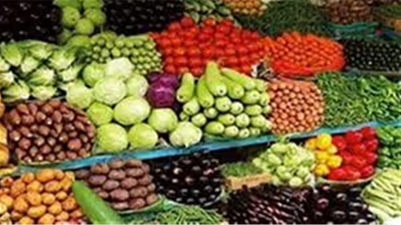 أسعار الخضراوات اليوم السبت 27 ديسمبر 2025 فى المنيا