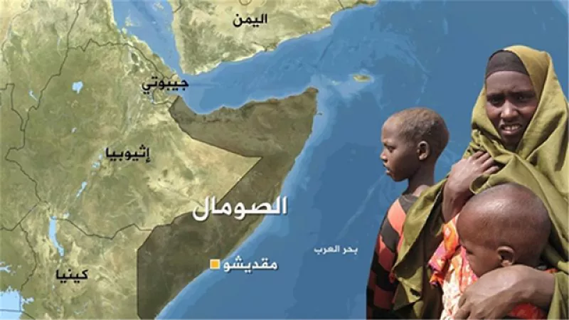 «إيجاد» تتمسك بوحدة الصومال وتدعو لحوار يعزّز استقرار القرن الأفريقي|فيديو