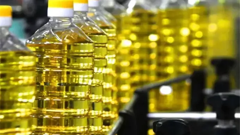 أسعار الزيت في الأسواق المصرية|تحديث أسعار عباد الشمس والذرة