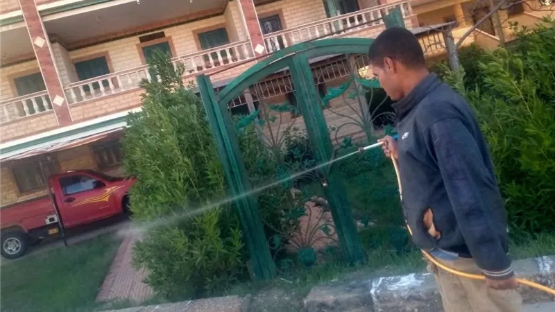 حمله موسعة للقضاء على يرقات الباعوض في مصيف بلطيم بكفرالشيخ