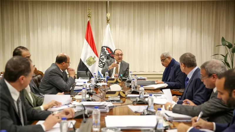  وزير قطاع الأعمال يبحث مستجدات التعاون مع مجموعة «طلعت مصطفى»