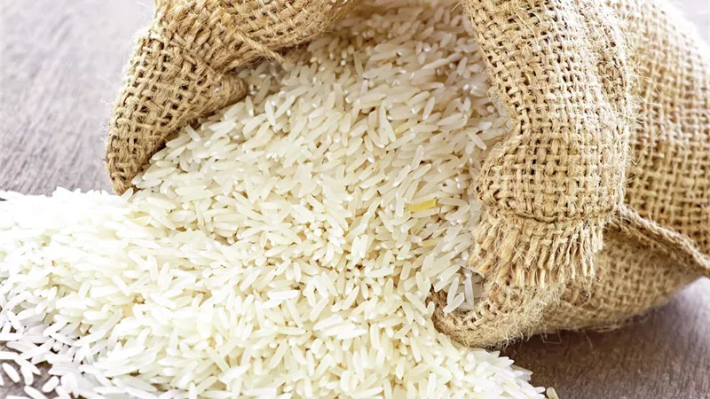 عمرو أبو السعود: مصر تقترب للاكتفاء الذاتي الكامل من الأرز بنسبة 99%  