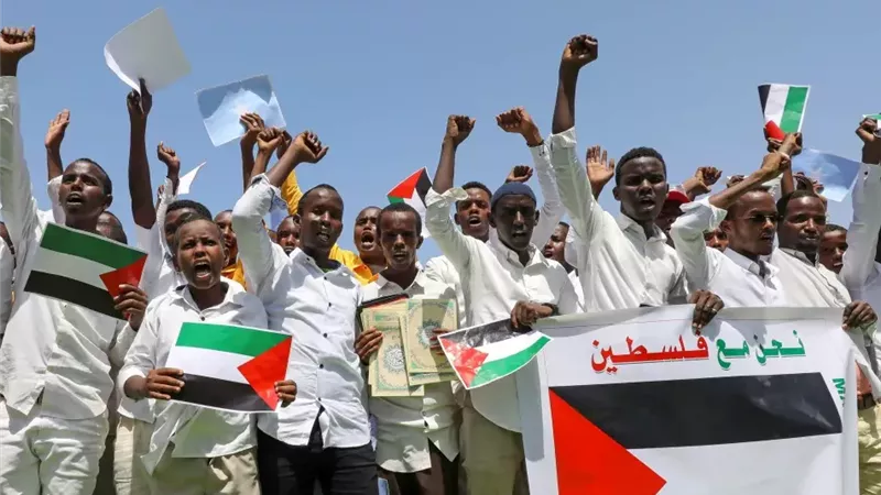 «إسرائيل تلعب بالنار».. مظاهرات داعمة لفلسطين في «أرض الصومال»|فيديو