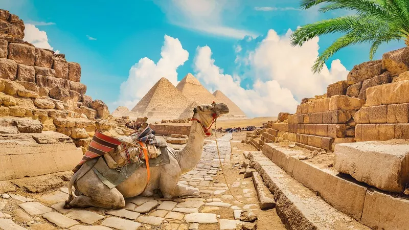  نقيب السياحيين: تحقيق مستهدف الـ30 مليون سائح في 2030|خاص