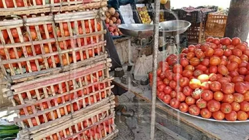 أسعار الخضروات اليوم الاثنين 29 ديسمبر 2025 في المنيا