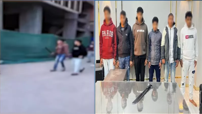 «خلافات على اللعب».. القبض على أصحاب مشاجرة الأسلحة البيضاء في الشرقية 