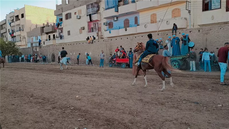 ذكر ومديح ومراجيح.. أبرز عادات مولد «الشيخ موسى» بالكرنك في الأقصر| فيديو
