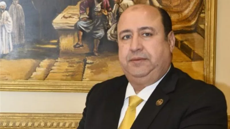 برلماني: ثورة يوليو محطة فارقة في تاريخ مصر