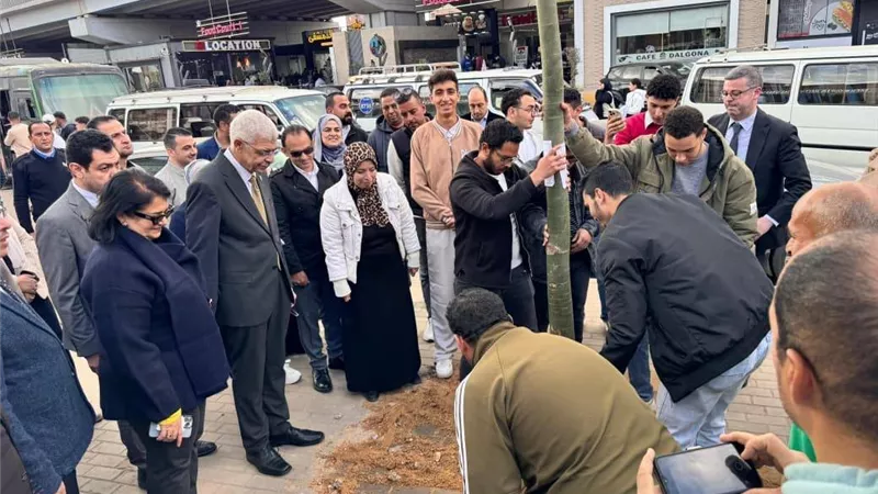 طلاب جامعة المنوفية الأهلية يزرعون الأشجار حول سور الجامعة
