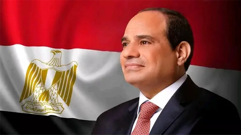 محافظ الغربية يهنئ الرئيس السيسي بمناسبة العام الميلادي الجديد 2026