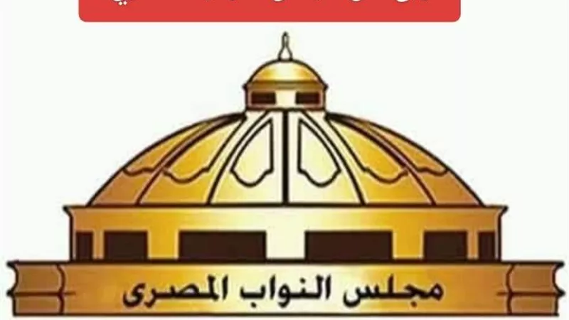 163 نائبًا يتسلمون «الكارنيهات» وصراع الـ27 دائرة يصل محطته الأخيرة