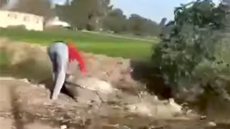  شاب يُقطّع حمارًا نافقًا في الطريق العام وسط مطالب بالتحقيق العاجل