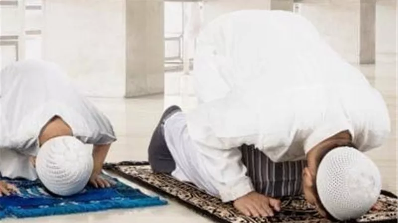 هل يأثم تارك الشفع والوتر؟.. أمين فتوى يحذر 
