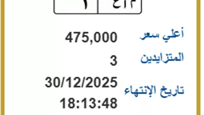 للمميزين فقط.. طرح اللوحة المعدنية «م أ ع1» للمزايدة بـ475 ألف جنيه