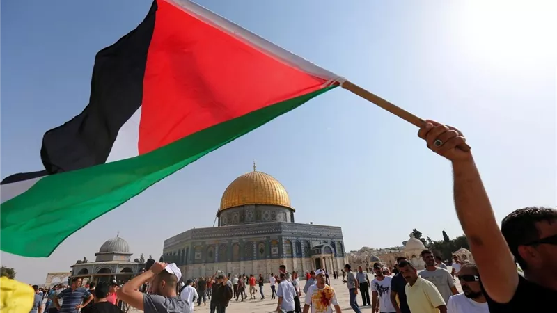 فلسطين في قلب الأزهر.. جهود وقرارات حاسمة لنصرة القضية