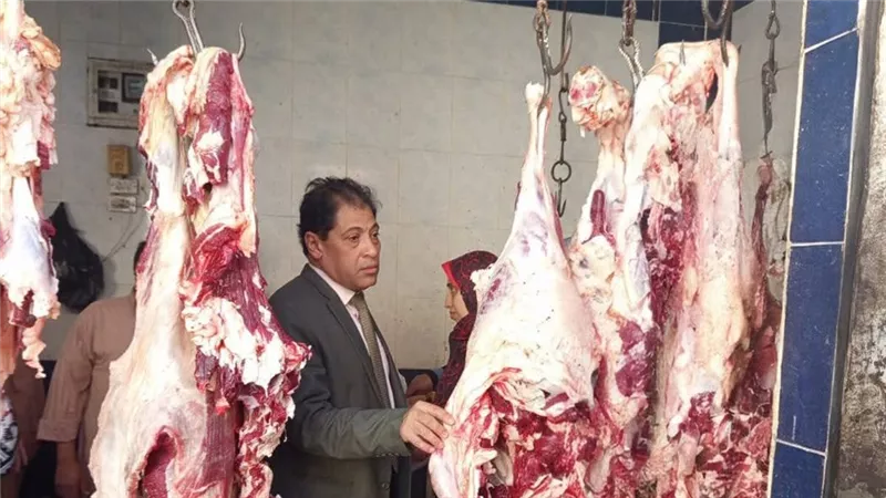 تحرير 5 محاضر ذبح خارج المجازر الحكومية في حملة للطب البيطري بالأقصر
