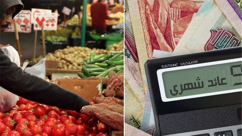 سلسلة خفض الفائدة التاريخية| كيف أثرت على الدين والشهادات والاستثمار؟