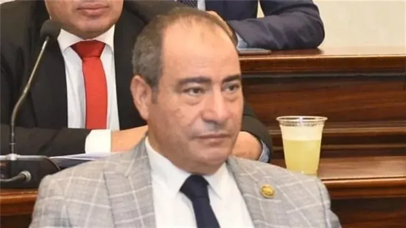مجاهد نصار: الدبلوماسية المصرية نجحت في الدمج بين السلام والتنمية في 2025