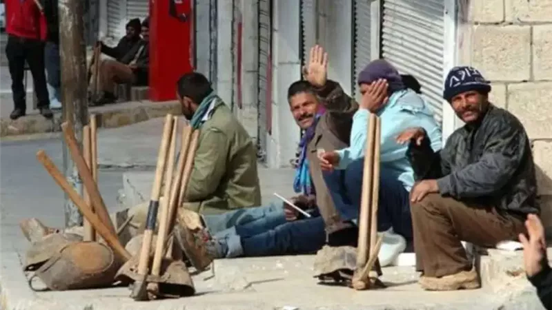 وزير العمل يكشف مفاجآت على الهواء بشأن العمالة غير المنتظمة| فيديو