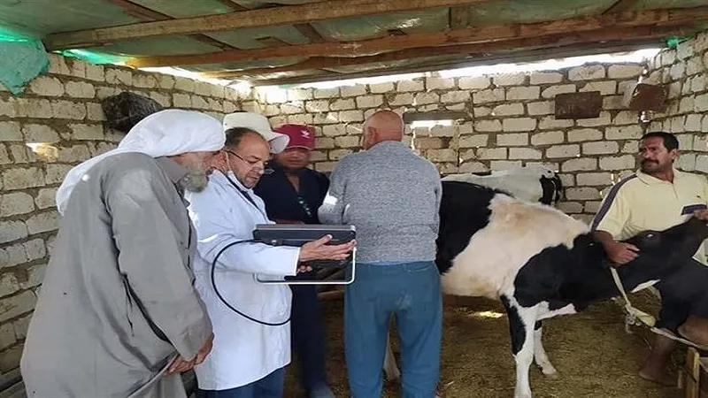 متحدث الزراعة: حصلنا على شهادات اعتماد دولية لـ55 منشأة ومزرعة|فيديو