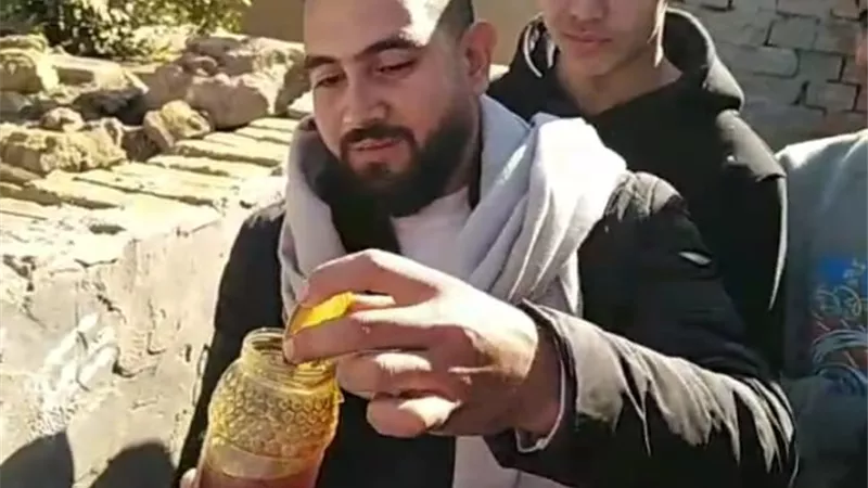  «عسل داخل المقبرة».. النحل يستقبل جثمان متوفي في المنوفية