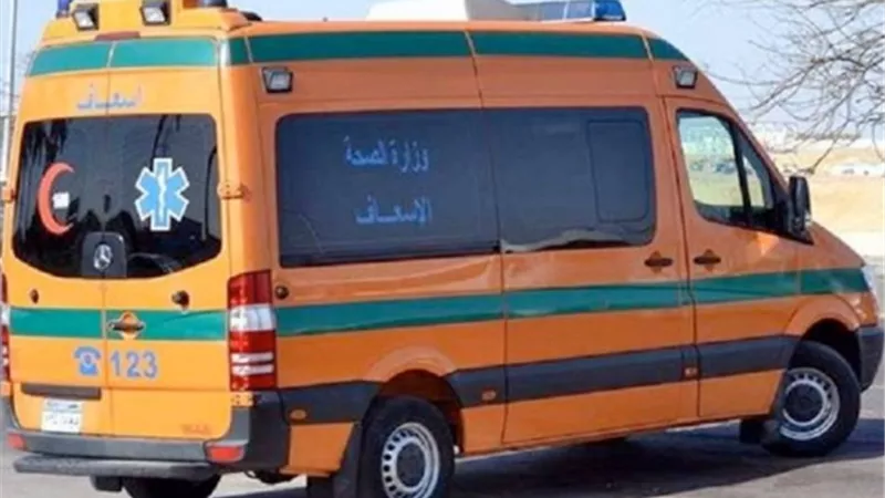 إصابة 14 عاملا في انقلاب سيارة ربع نقل بالمنيا الجديدة