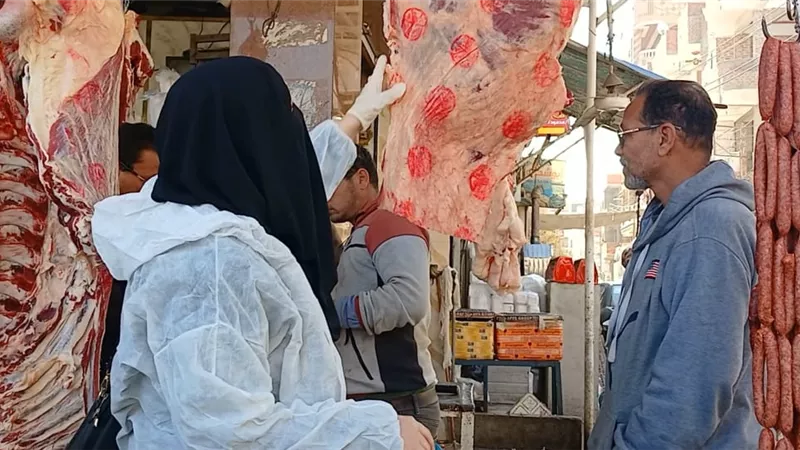الطب البيطري يواصل جهوده للحفاظ على الثروة الحيوانية بالإسماعيلية