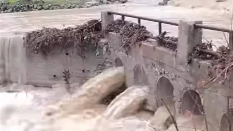 الطقس السيء والأمطار في سوريا تخفي خبر سار لحياة السوريين| صور