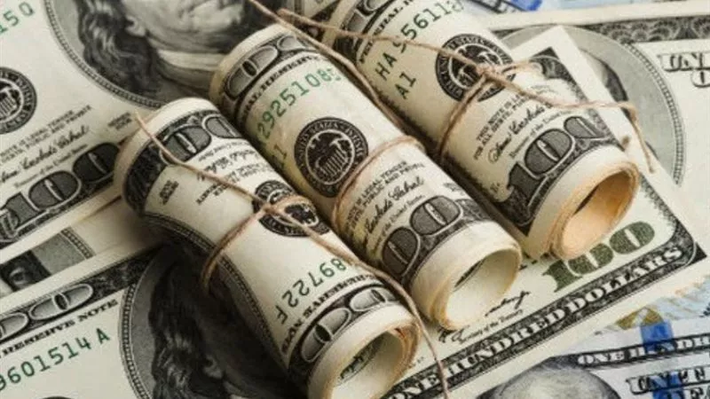 بـ6 ملايين جنيه.. الداخلية توجه ضربة قاتلة لتجار «الأخضر» بالمحافظات