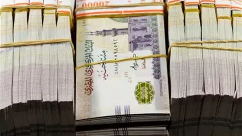 نمو قياسي في إيرادات ضريبة الدخل بنسبة 52.7% خلال 5 أشهر| خاص